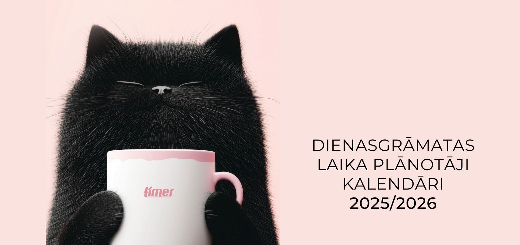 Skolas dienasgrāmatas 25.26