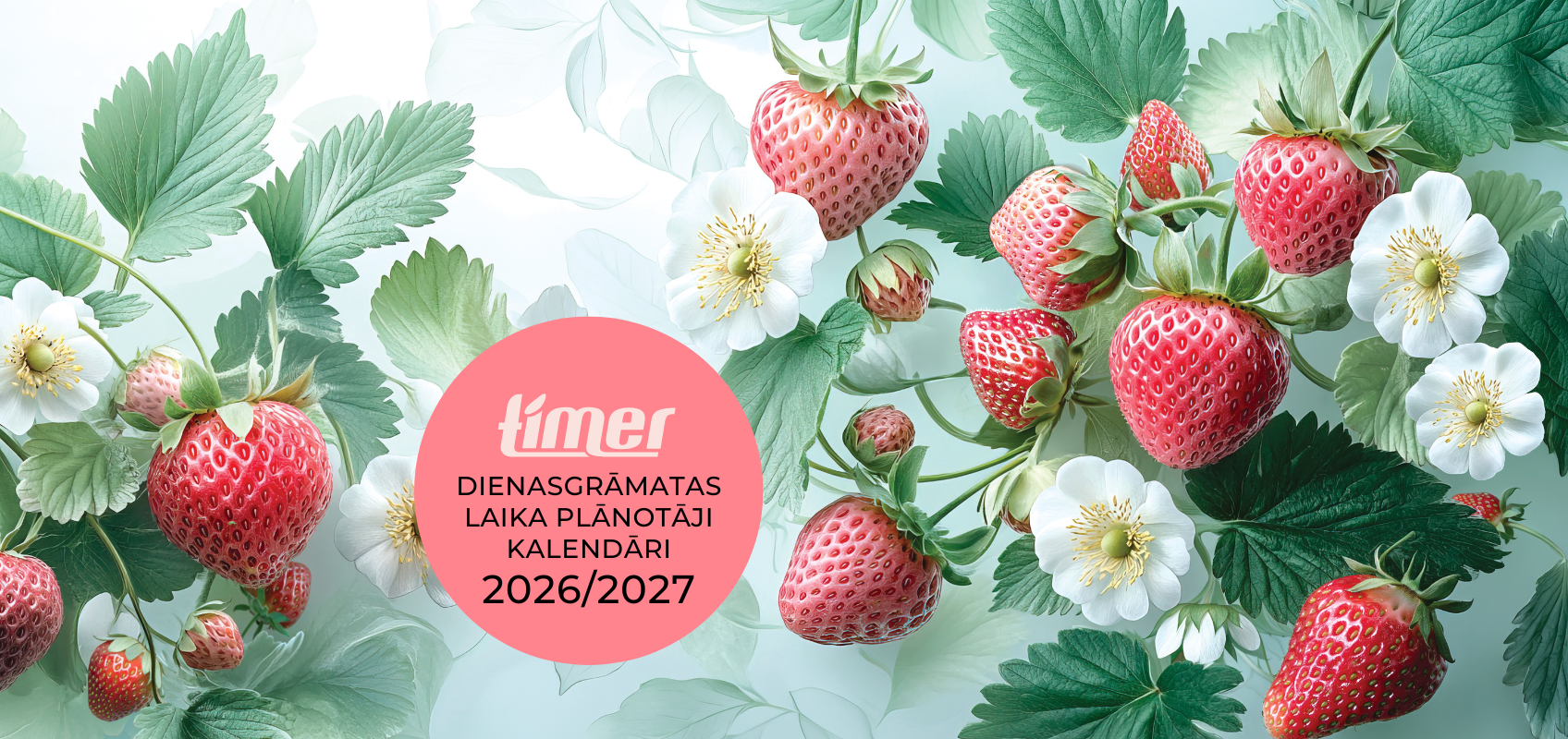 Skolas dienasgrāmatas 25/26